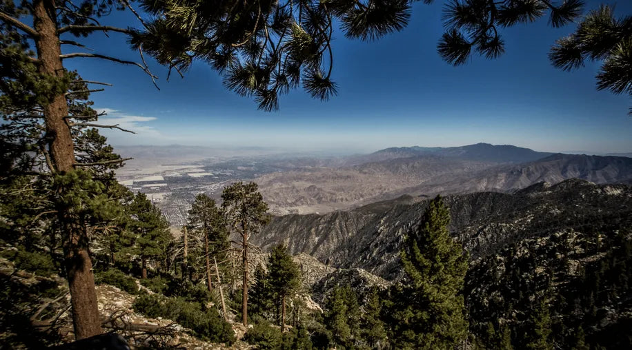 tonebase Choral Retreat at Idyllwild